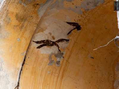 ...affrescato con una pittura color zafferano, sul quale sono ancora riconoscibili le sagome di due uccelli